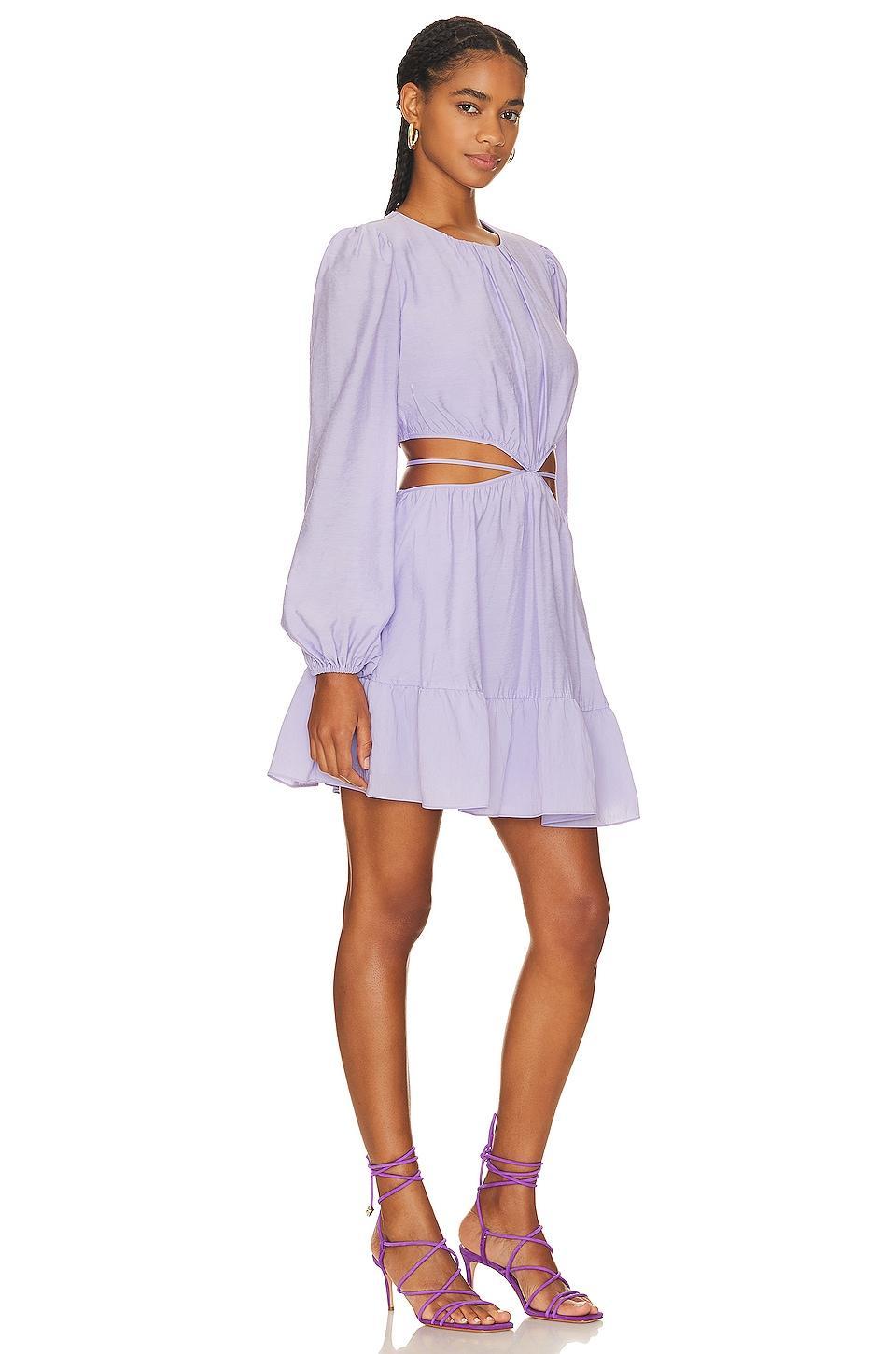 Issy Mini Dress Product Image