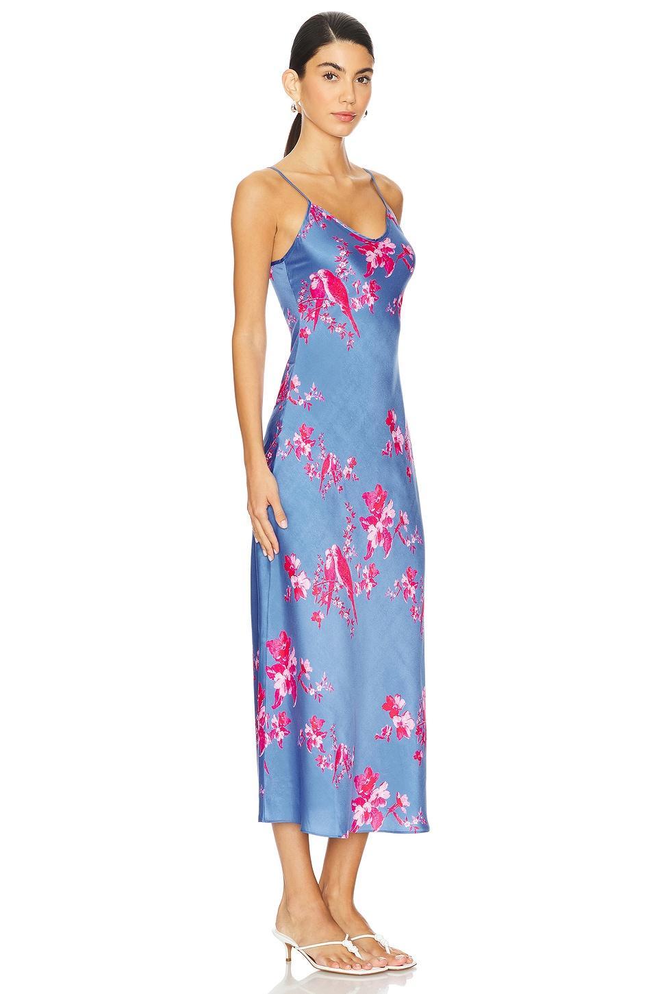 Bryony Iona Dress Product Image