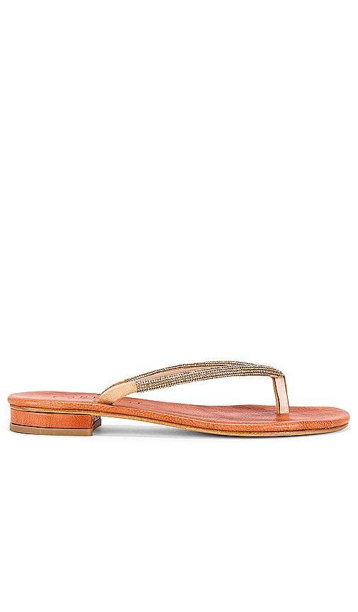 Pogliano Sandal CoRNETTI Product Image