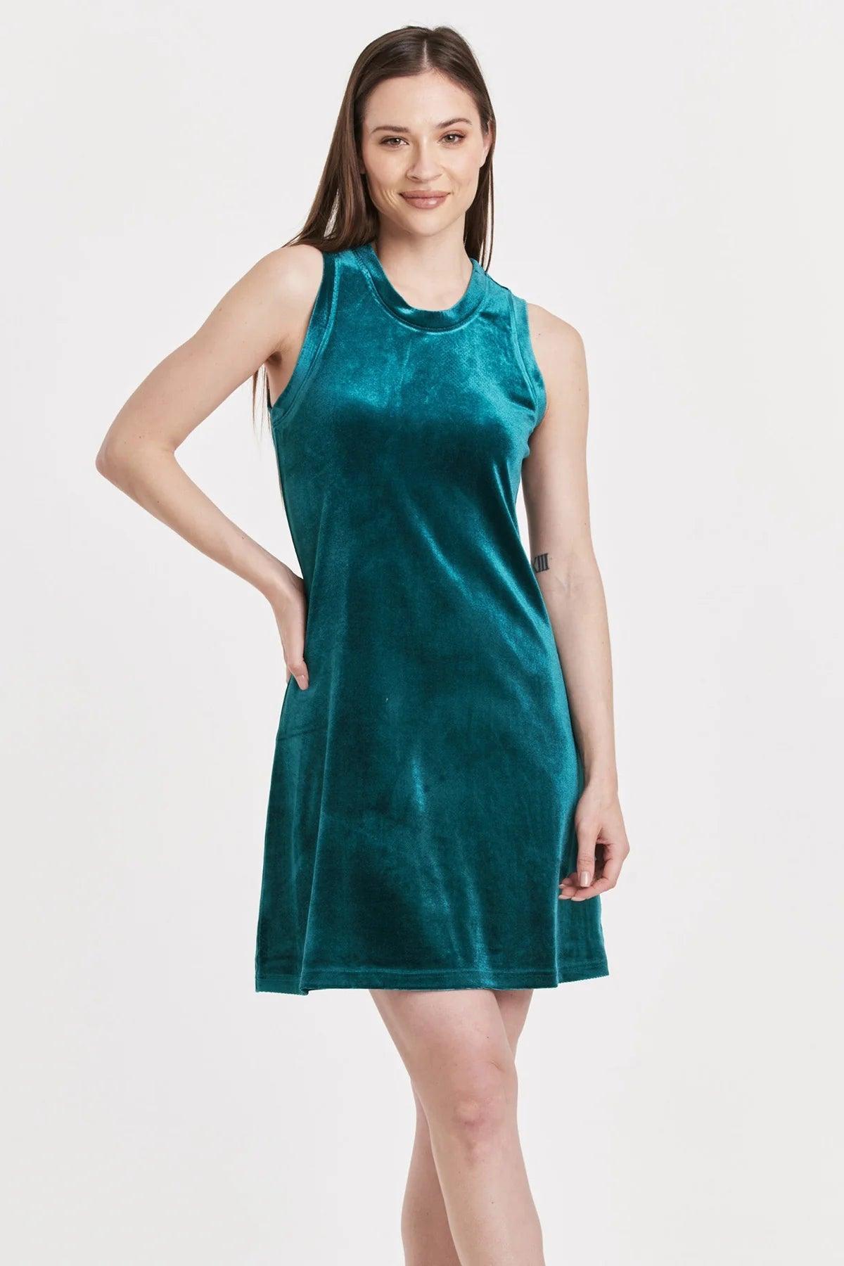 Justine Velvet Swing Dress Product Image