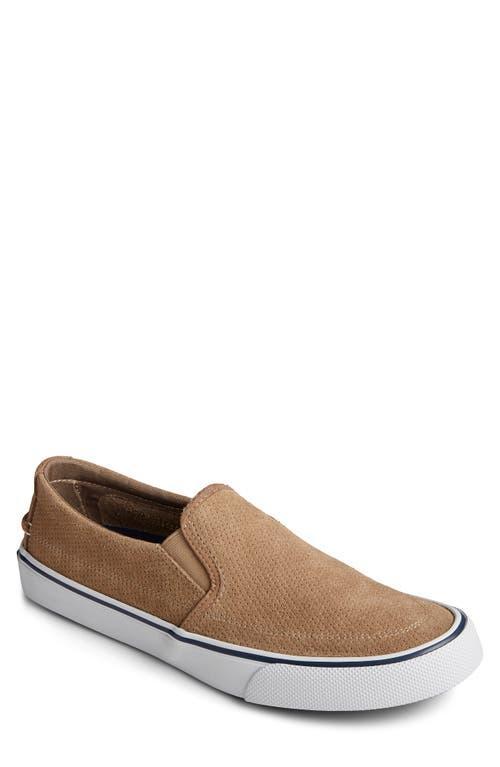 Sperry Striper II Twin Gore Perf Suede Men's Shoes Product Image