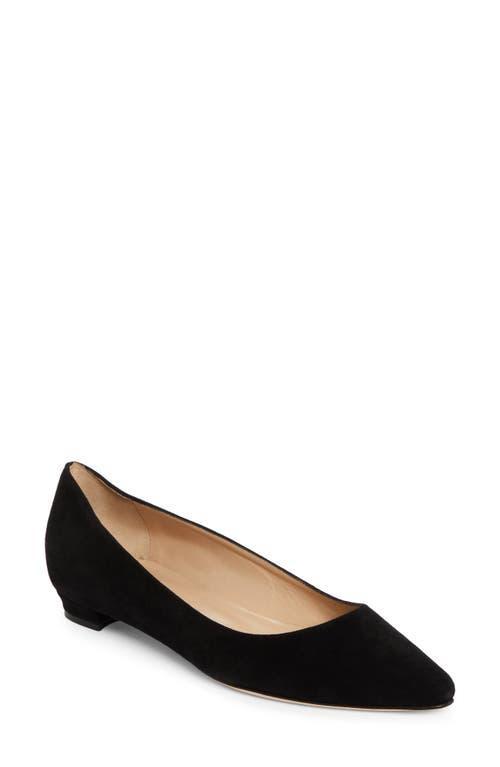 MANOLO BLAHNIK Bb Pump In Black Product Image