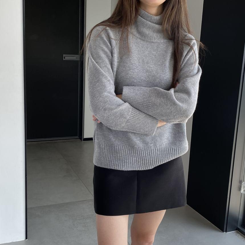 Turtleneck Plain Sweater Product Image