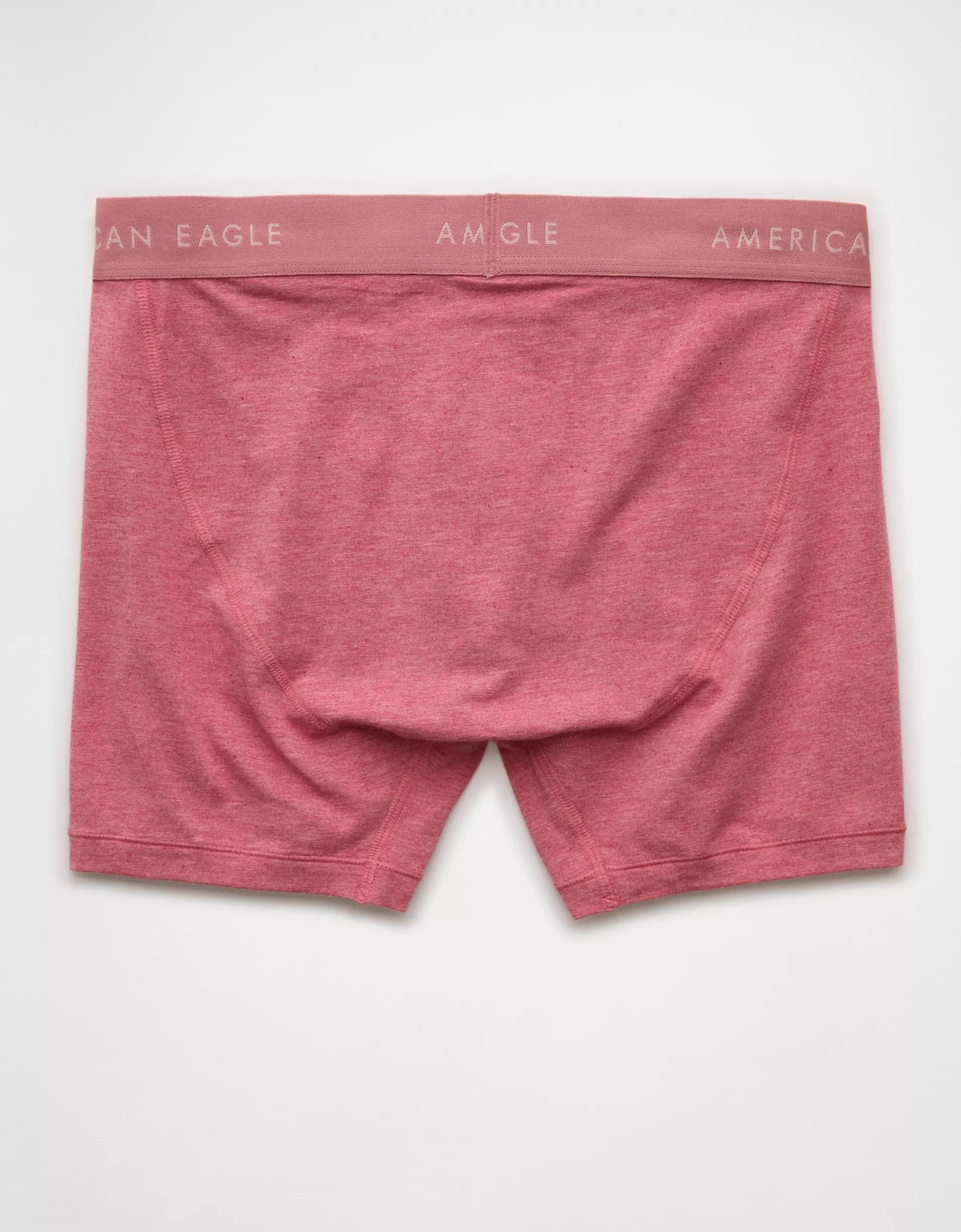 AEO Men's 4.5" Classic Boxer Brief Product Image