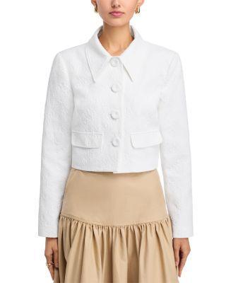 Cropped Collared Jacket  Product Image
