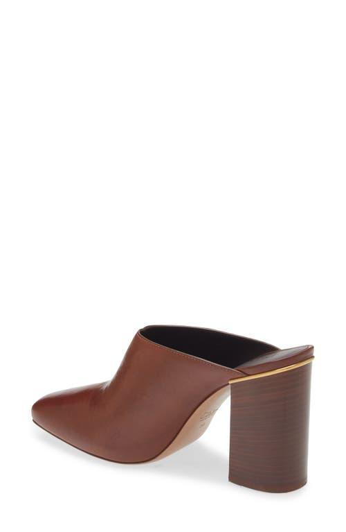 CHLOÉ Ambre Leather Mule In Brown Product Image