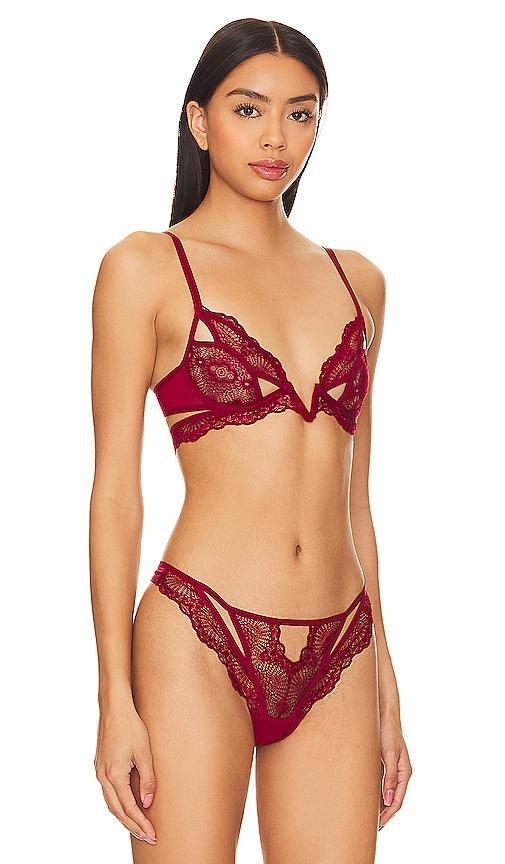 Thistle and Spire Kane Cutout V Wire Bra Black 36C Product Image