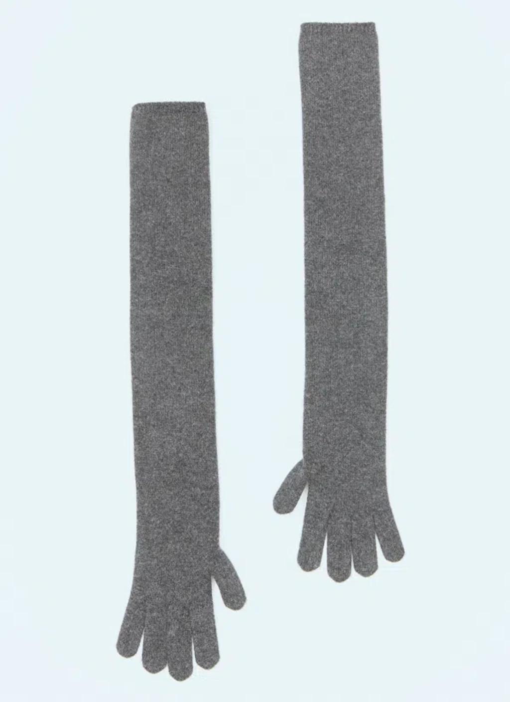 MAX MARA Long Cashmere Gloves In Gray Product Image