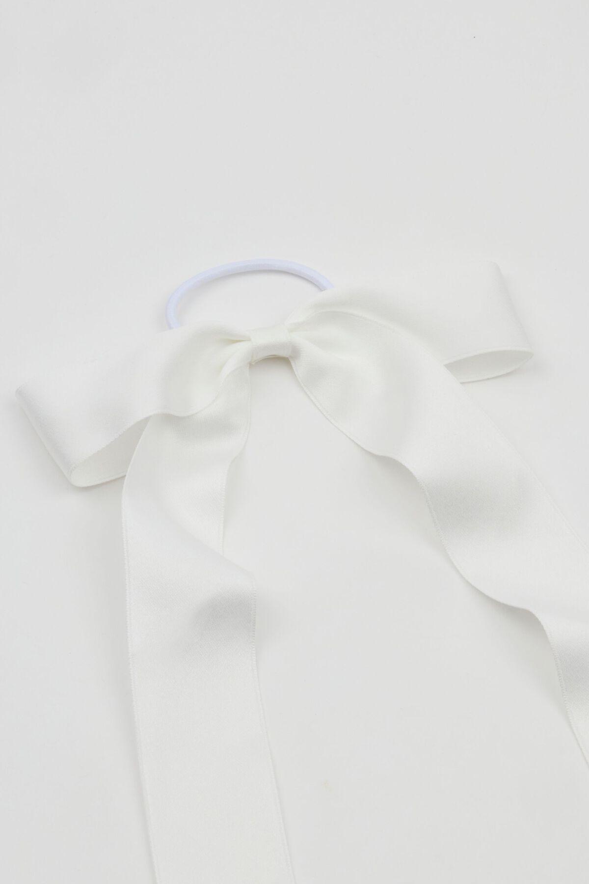 Oversized Ribbon Elastic  Product Image