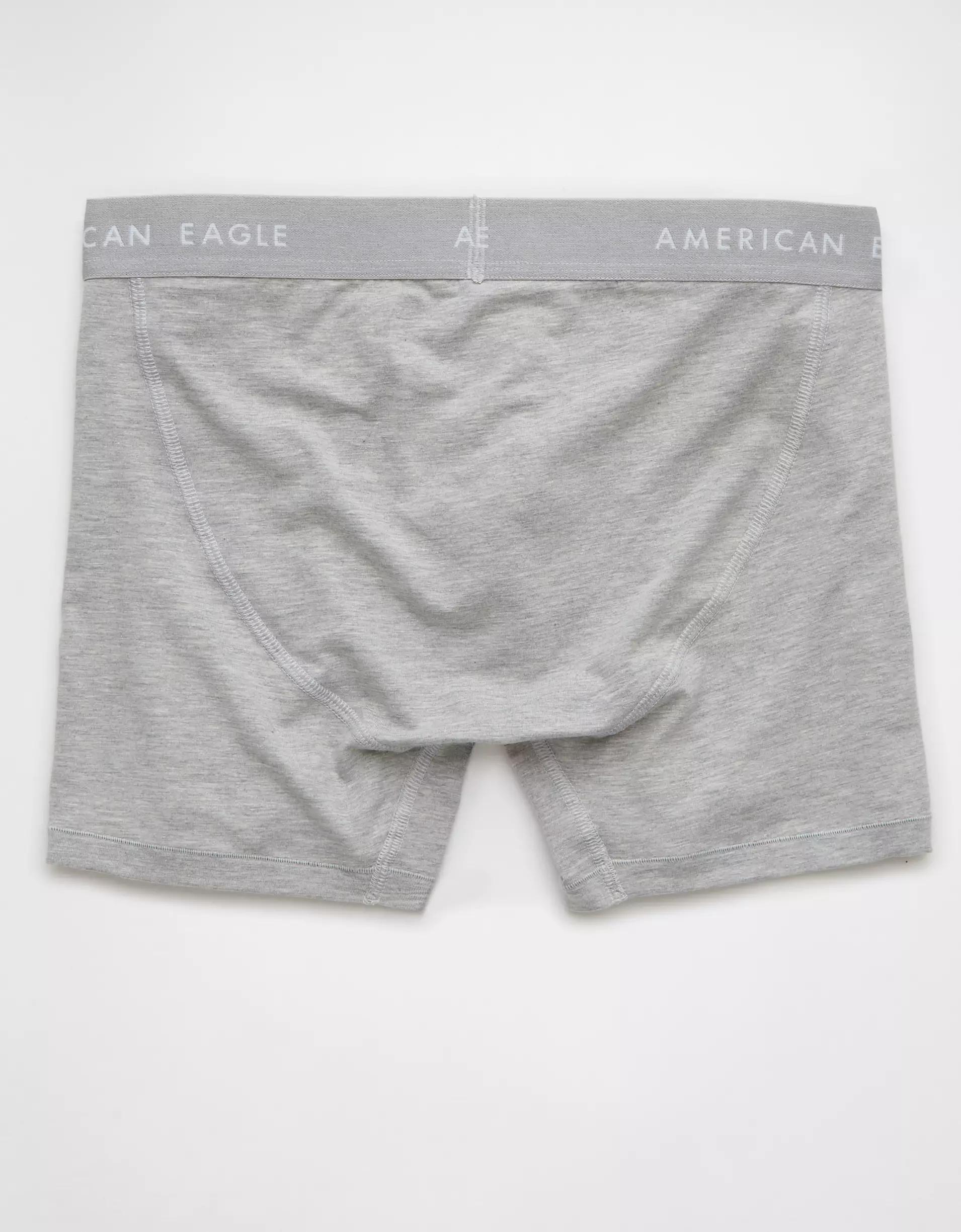 AEO Men's 4.5" Classic Boxer Brief Product Image
