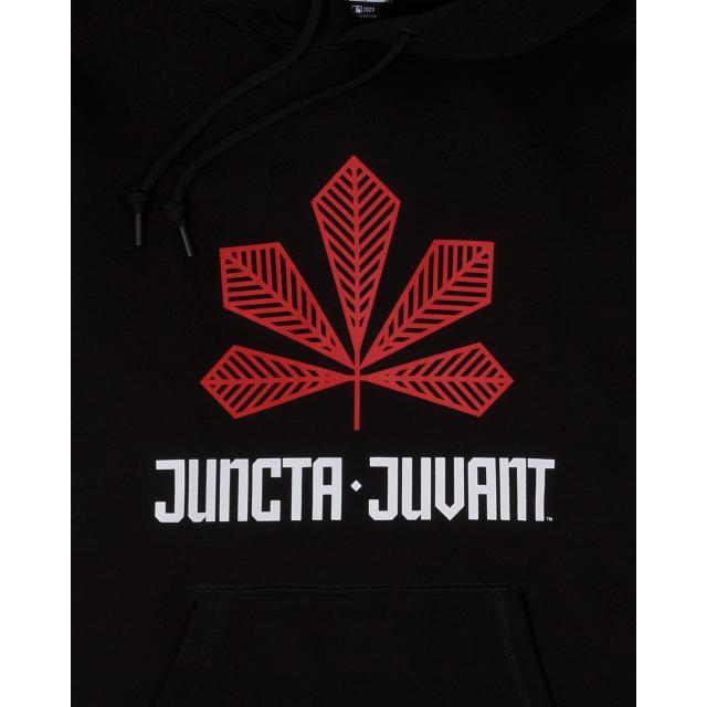 Cincinnati Reds City Connect Alt Hoodie Male Product Image