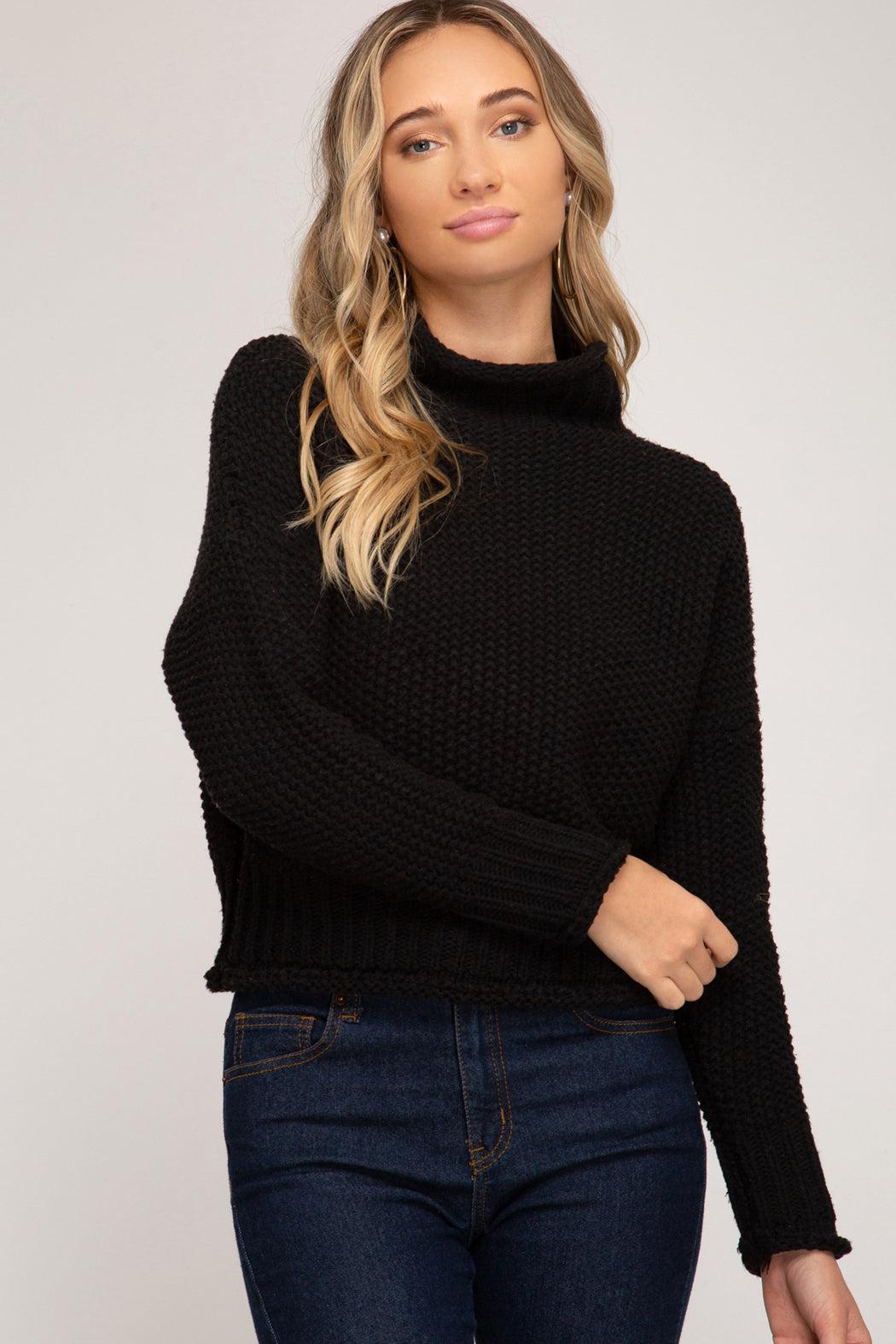 Chunky Turtleneck Sweater Product Image