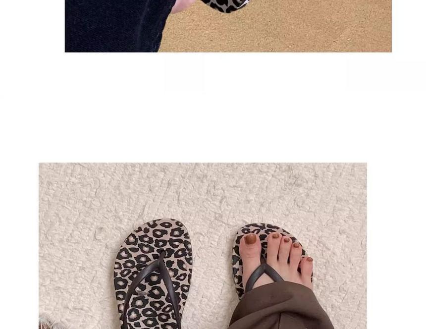 Leopard Print Flip-Flops Product Image