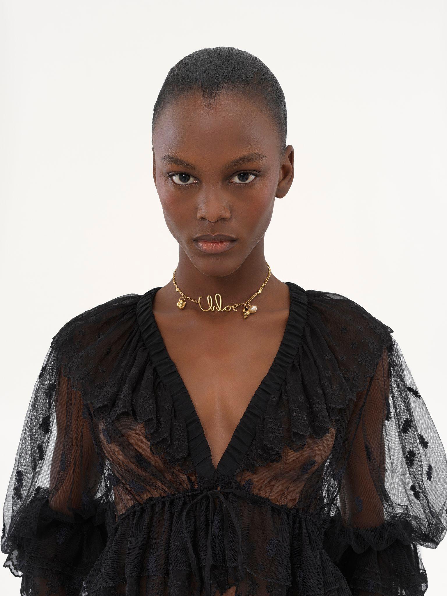 V-neck ruffle top in embroidered lace Product Image