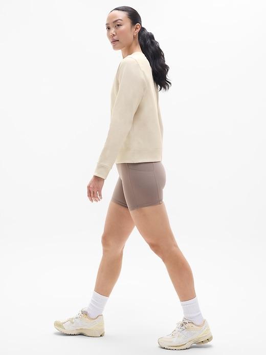 Retroterry Crewneck Sweatshirt Product Image