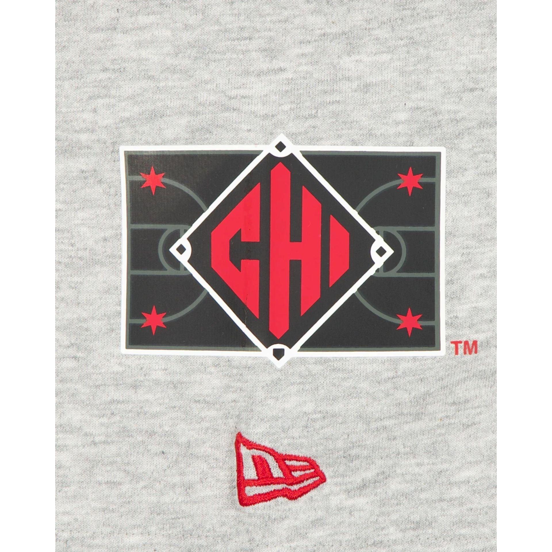 Boston Red Sox City Connect Gray T-Shirt Male Product Image