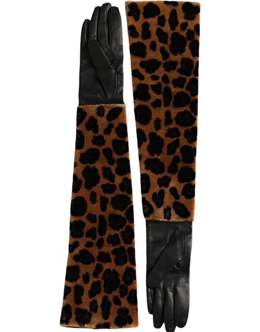 DOLCE & GABBANA Brown Black Leopard Leather Elbow Length Gloves Product Image