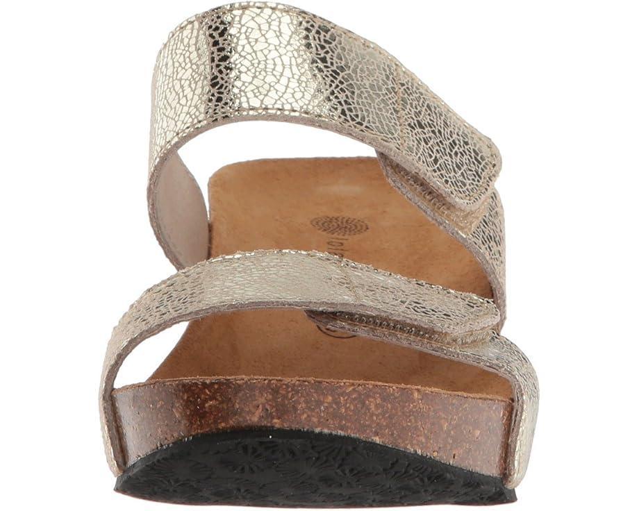 Lily 2 Product Image