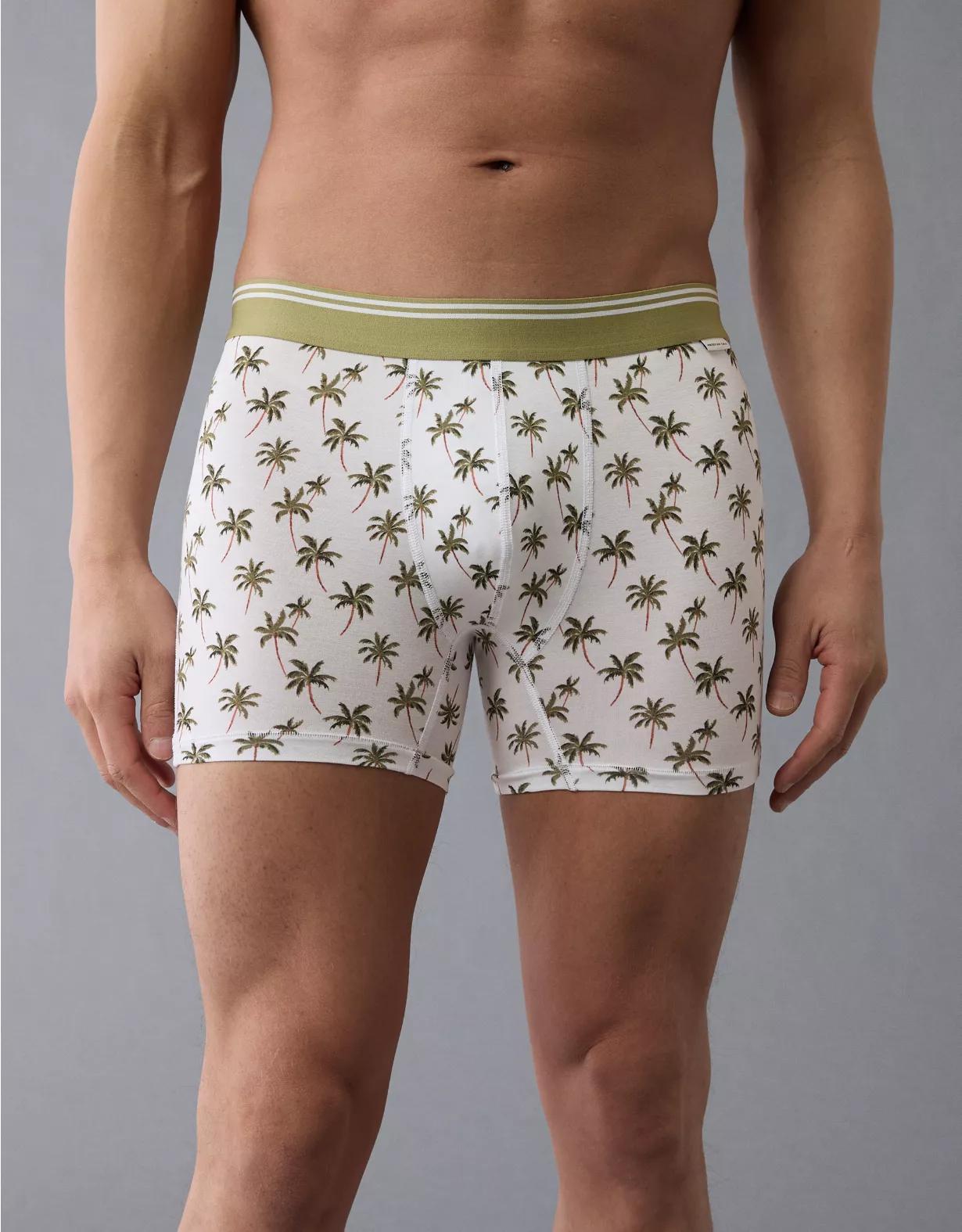 AEO Men's 4.5" Ultra Soft Boxer Brief Product Image