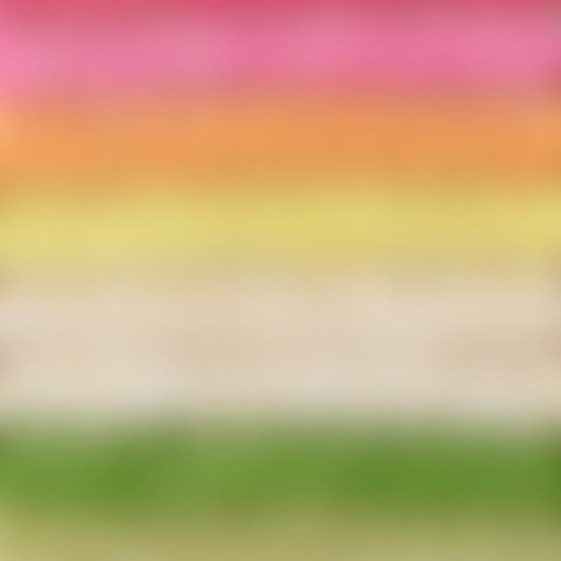 Trendy Multi Color Striped Shoulder Bag Female Product Image