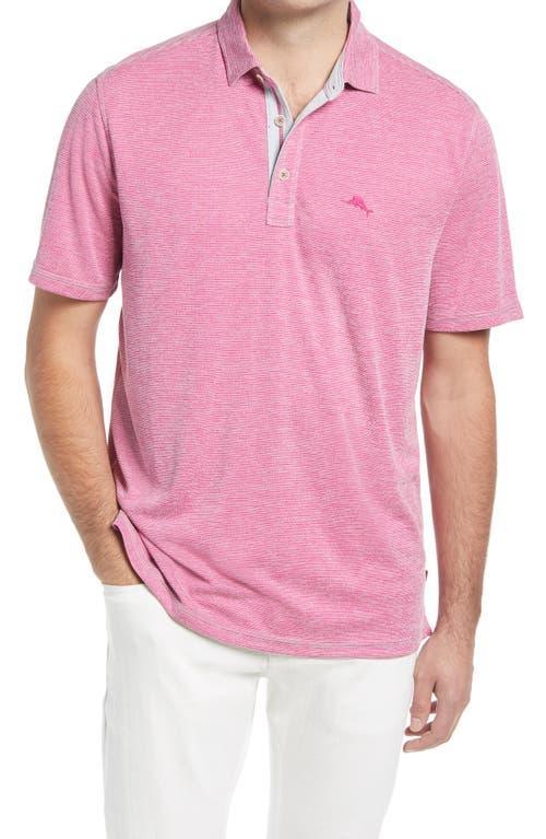 Tommy Bahama Paradise Cove Short Sleeve Polo Shirt Product Image