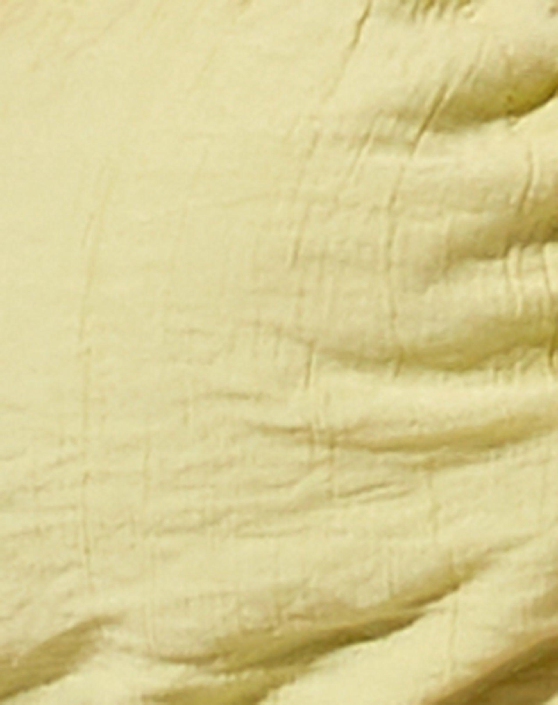 Delphi Crop Top in Crinkle Sage Product Image