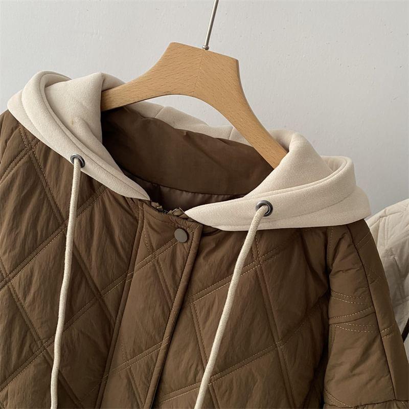 Hooded Quilted Zip Jacket Product Image