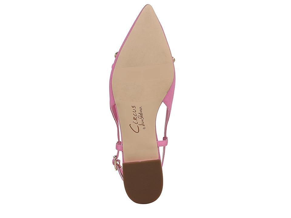 Circus NY by Sam Edelman Lafayette Confetti) Women's Flat Shoes Product Image