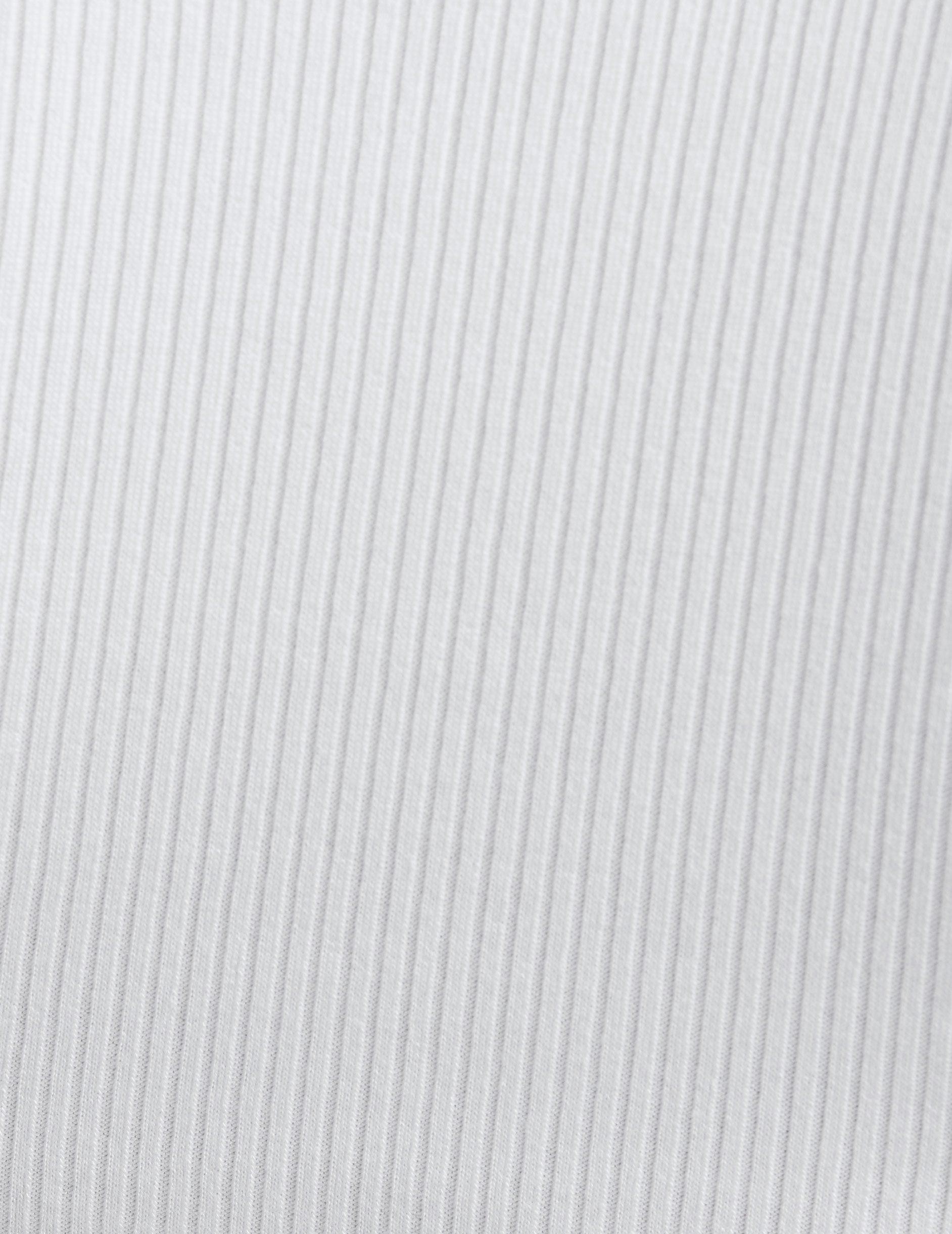 Silhouette Cropped Tee Product Image