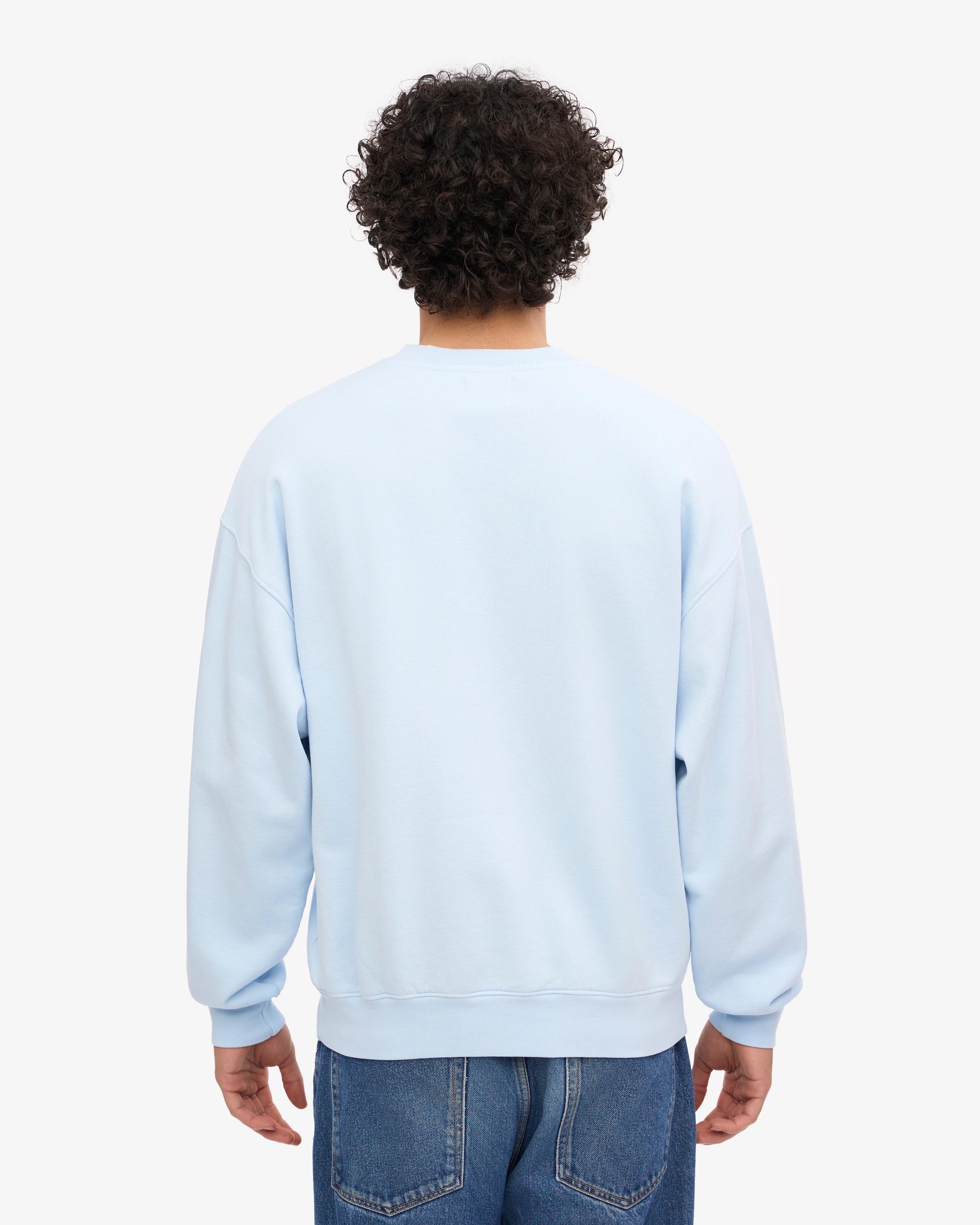 Organic Oversized Crew - Polar Blue Product Image