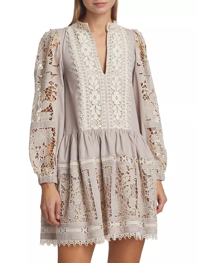 Joah Embroidered Lace Minidress Product Image