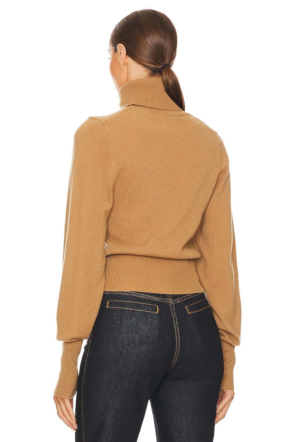 Aren Cashmere Turtleneck Sweater Helsa Product Image