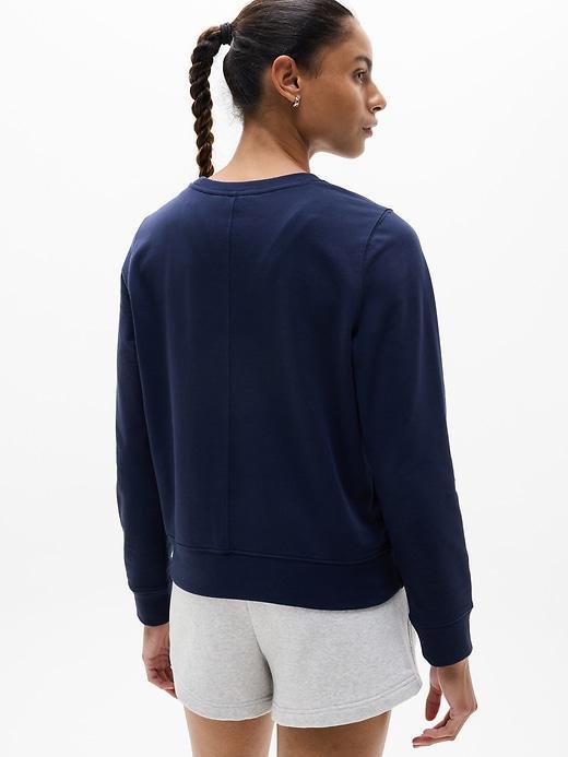 Retroterry Crewneck Sweatshirt Product Image