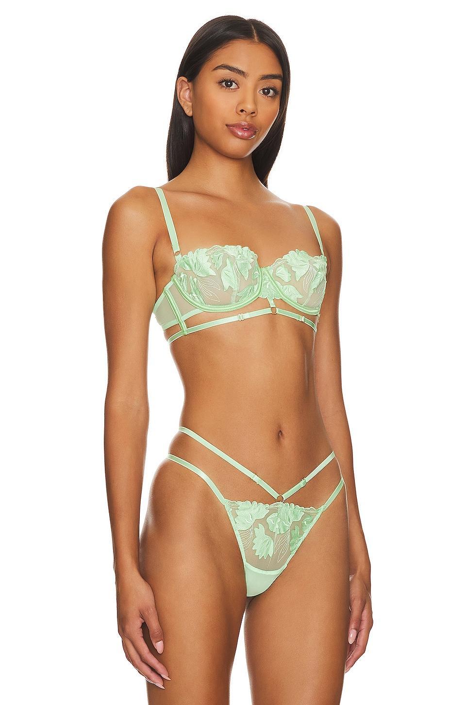 Isla Wired Bra BLUEBELLA Product Image