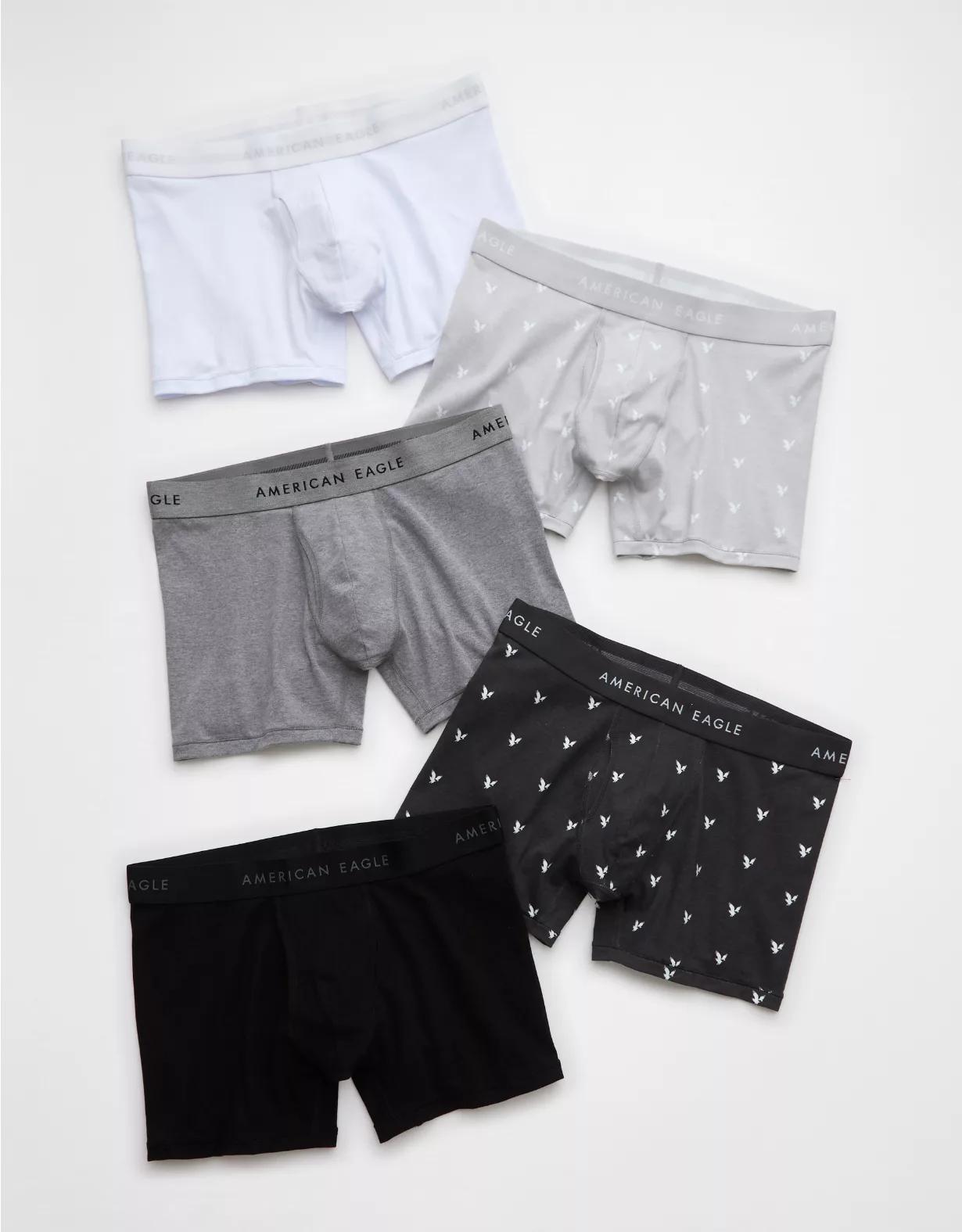 AEO Men's 4.5" Classic Boxer Brief 5-Pack Product Image