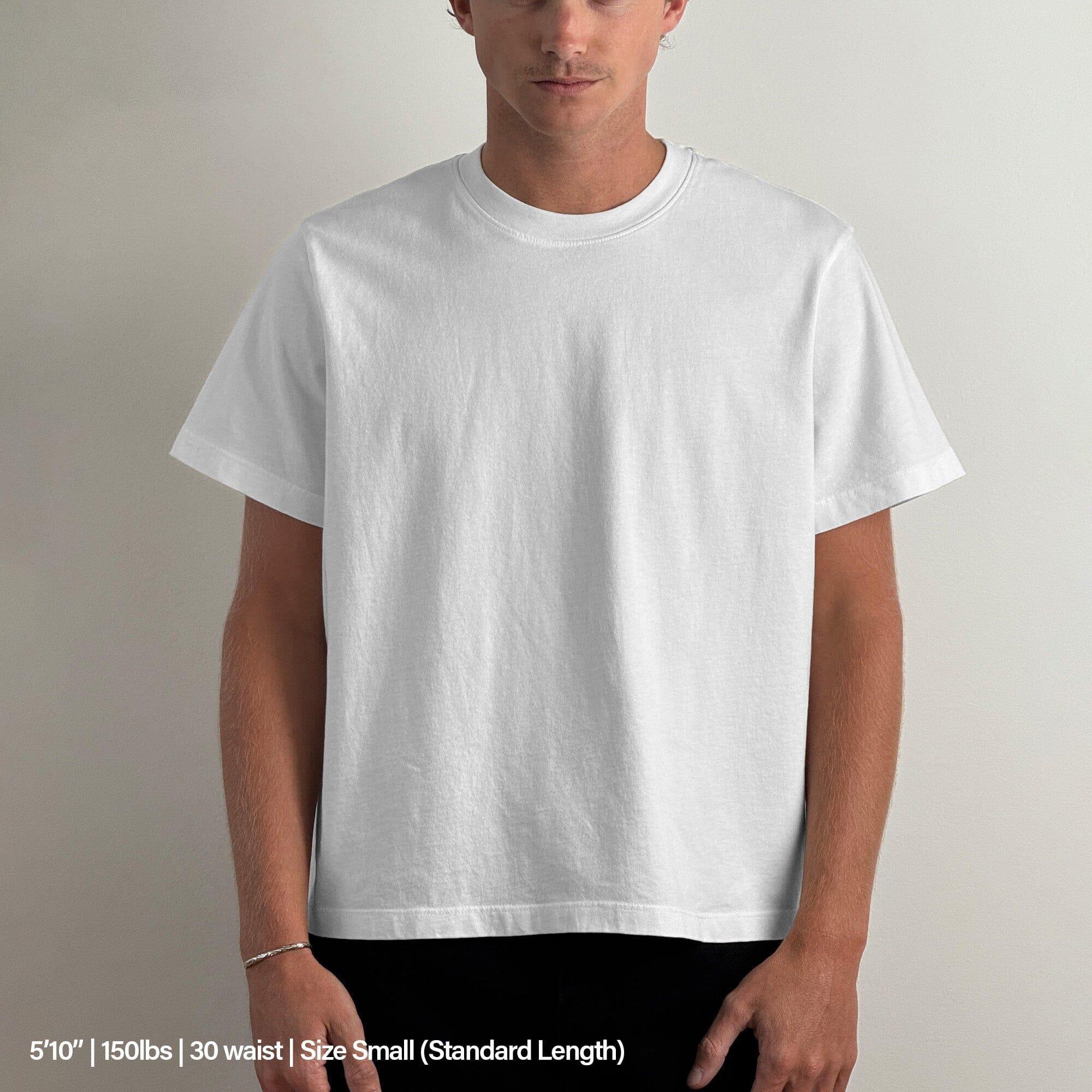 Silverlake Crop Tee II Product Image