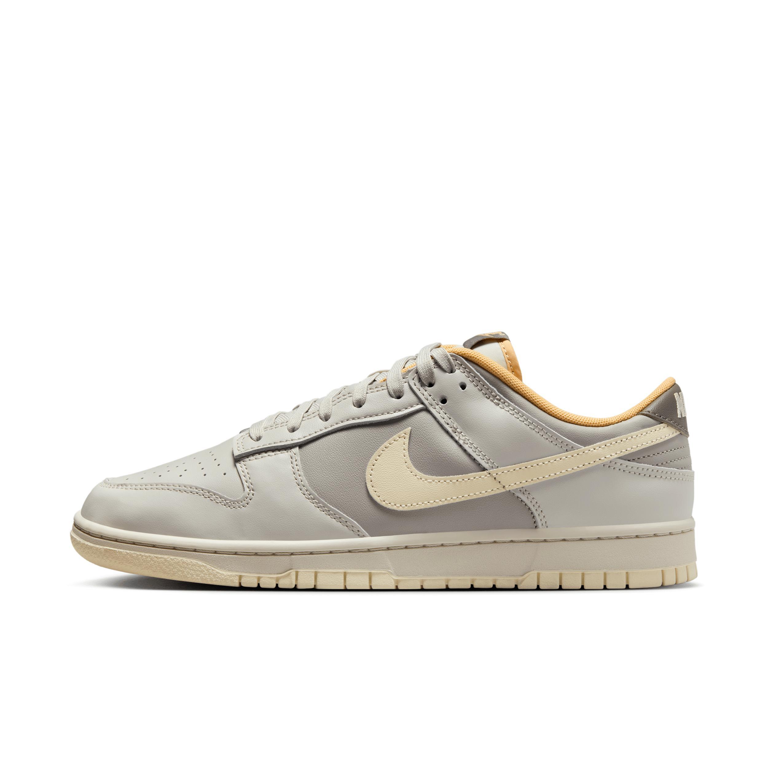 Nike Mens Dunk Low Retro Shoes | HF5441-105 Product Image