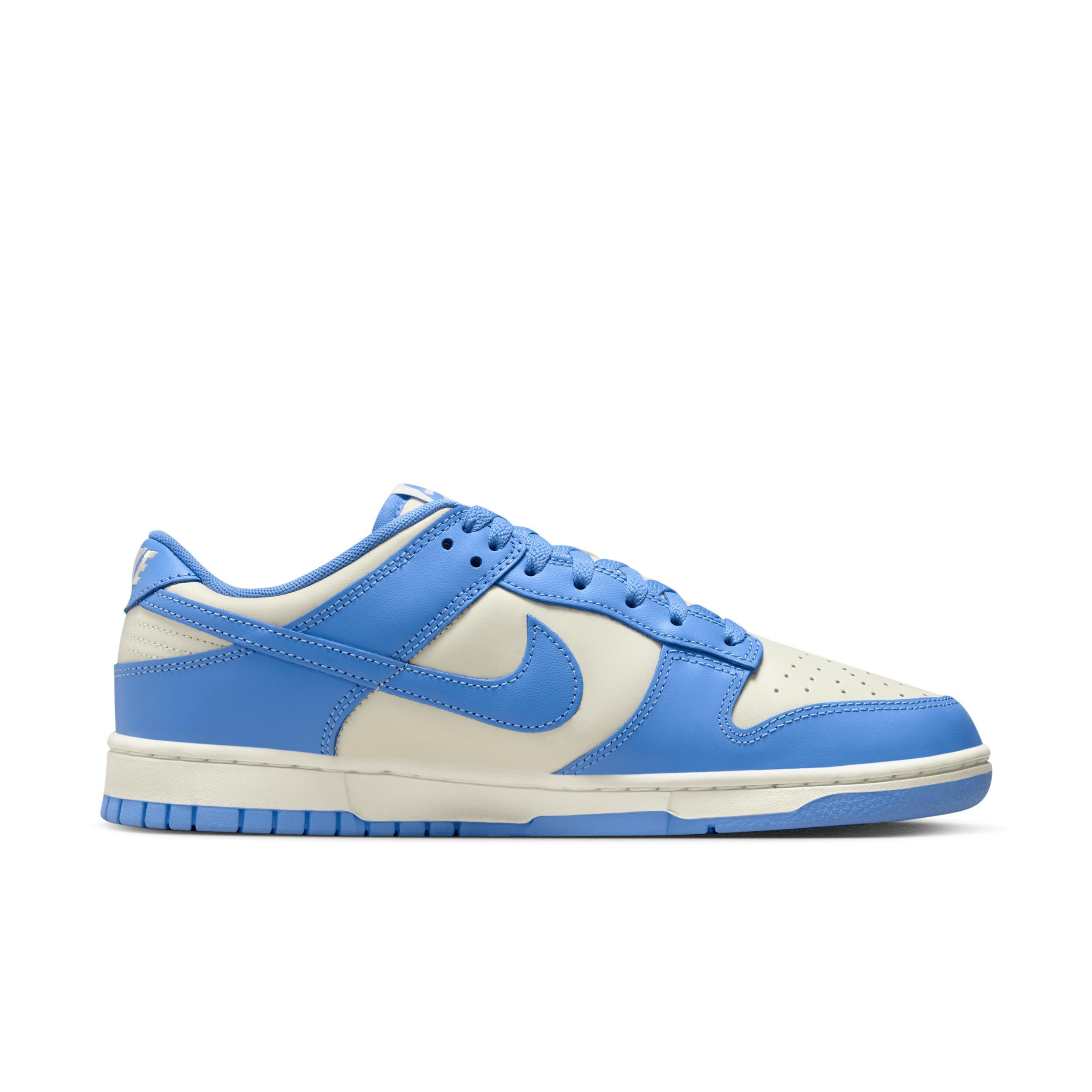 Nike Dunk Low Retro Men's Shoes Product Image