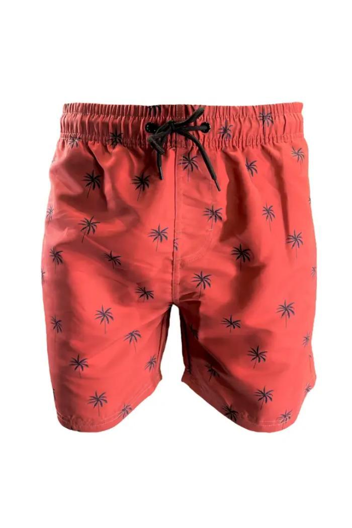 Men's Standard Sizing Swim Shorts Product Image