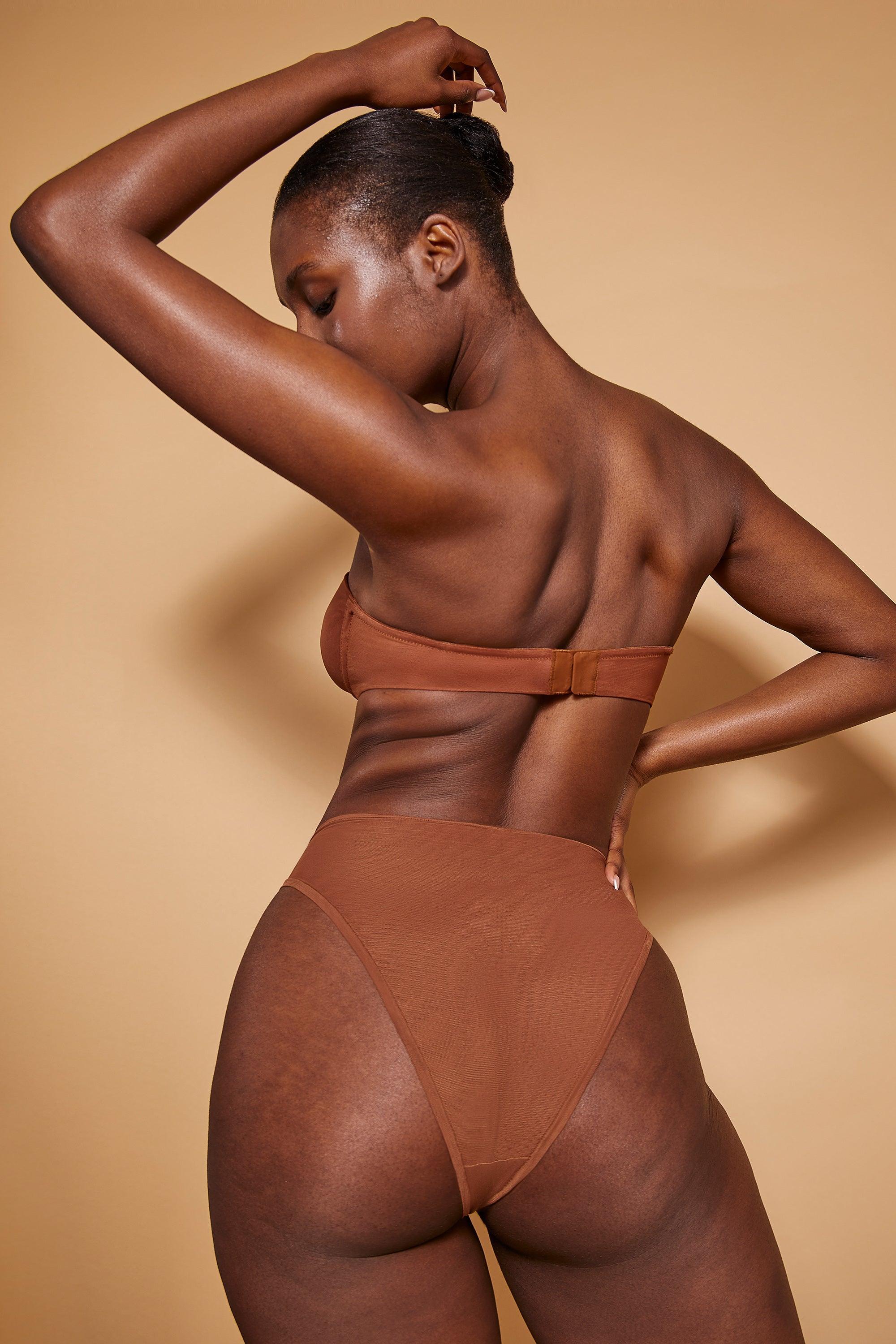 Soft Mesh High Waisted Knicker in Chestnut Product Image