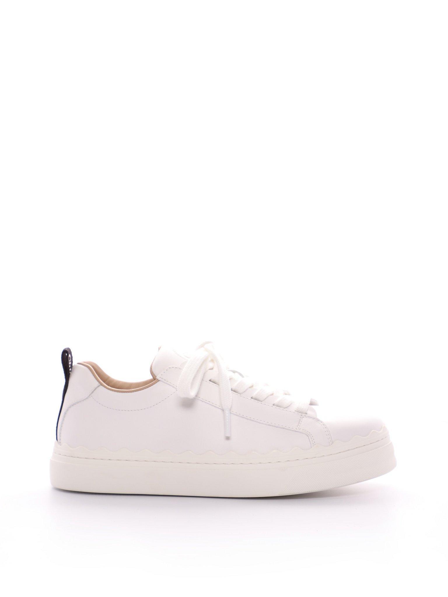 Lauren sneaker Product Image