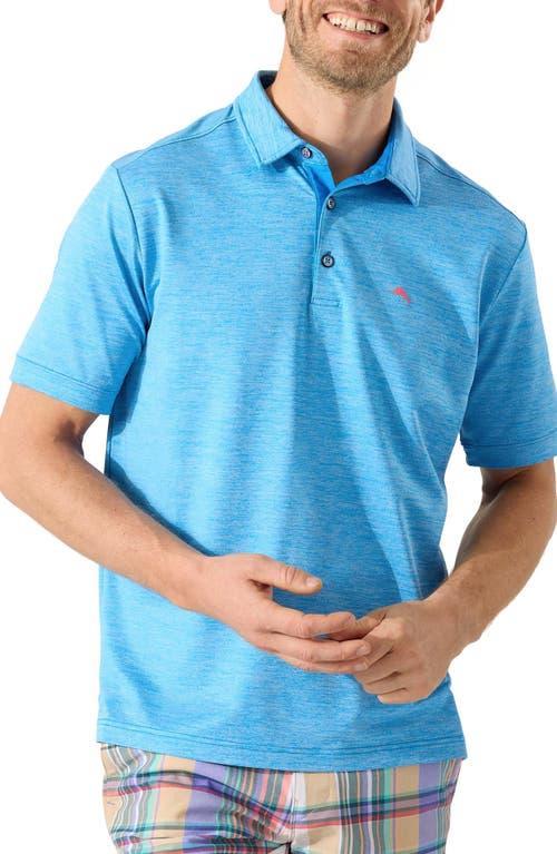 Mens San Raphael Polo Shirt Product Image