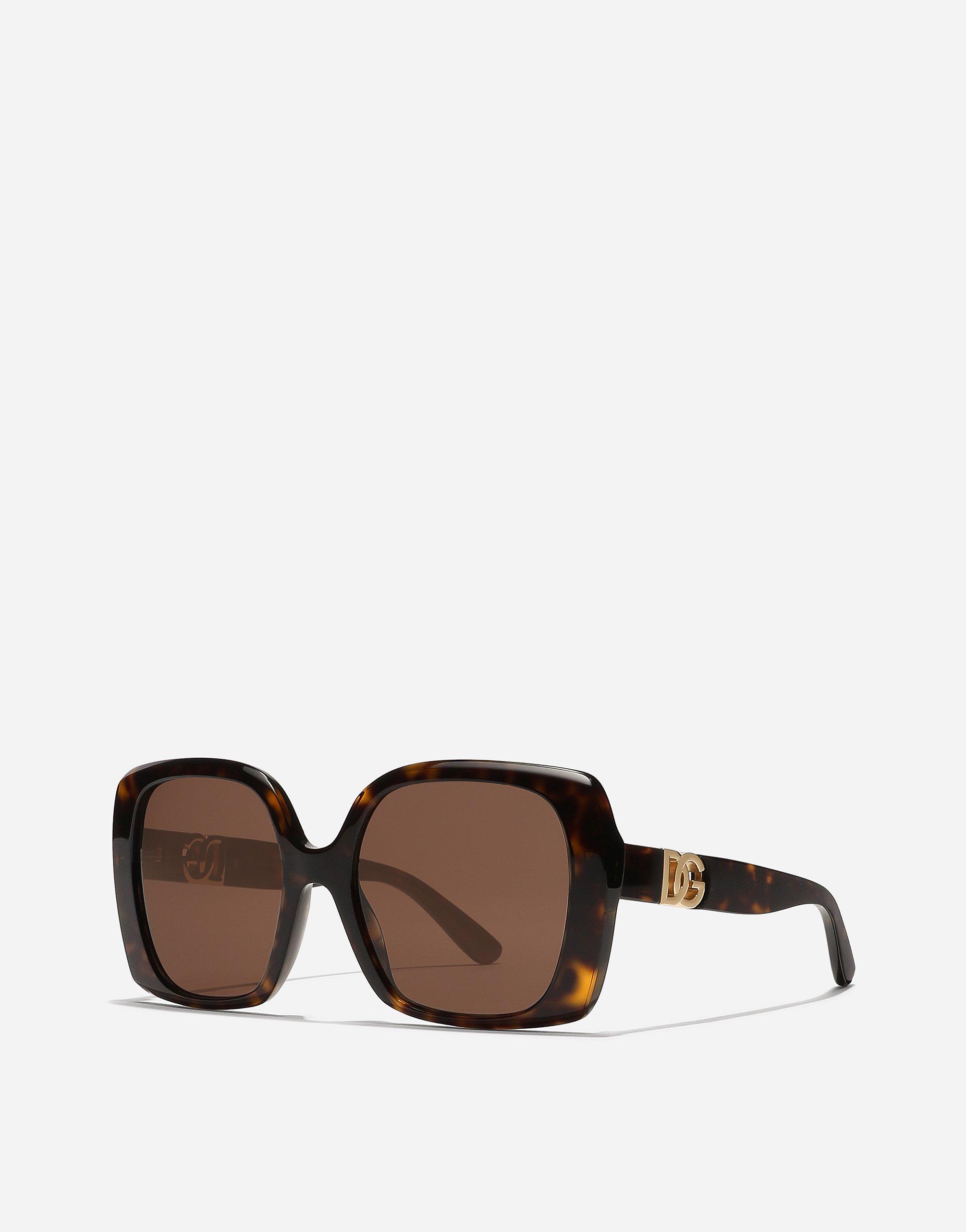 DOLCE & GABBANA Dg Allure Sunglasses In Havana Product Image