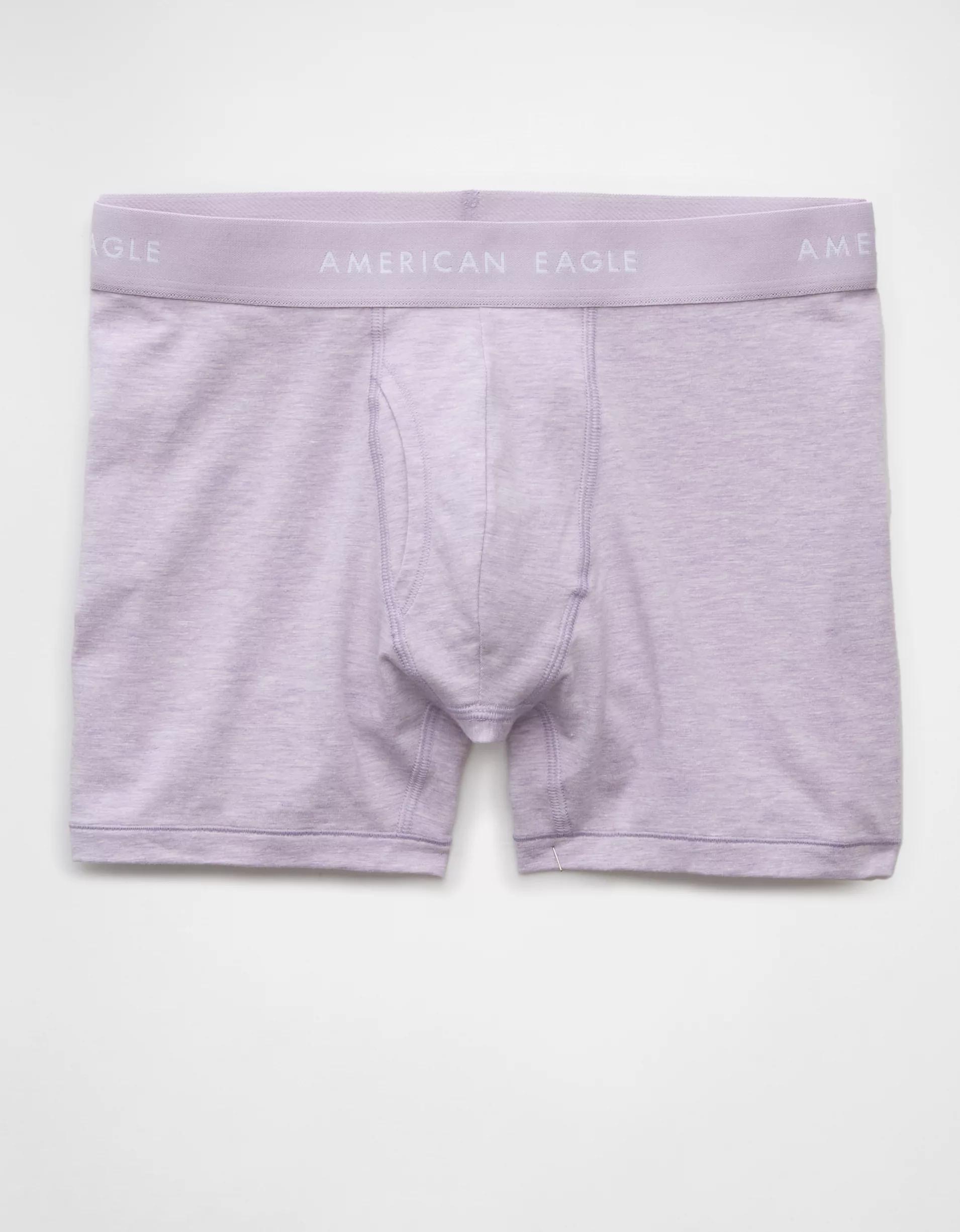AEO Men's 4.5" Classic Boxer Brief Product Image