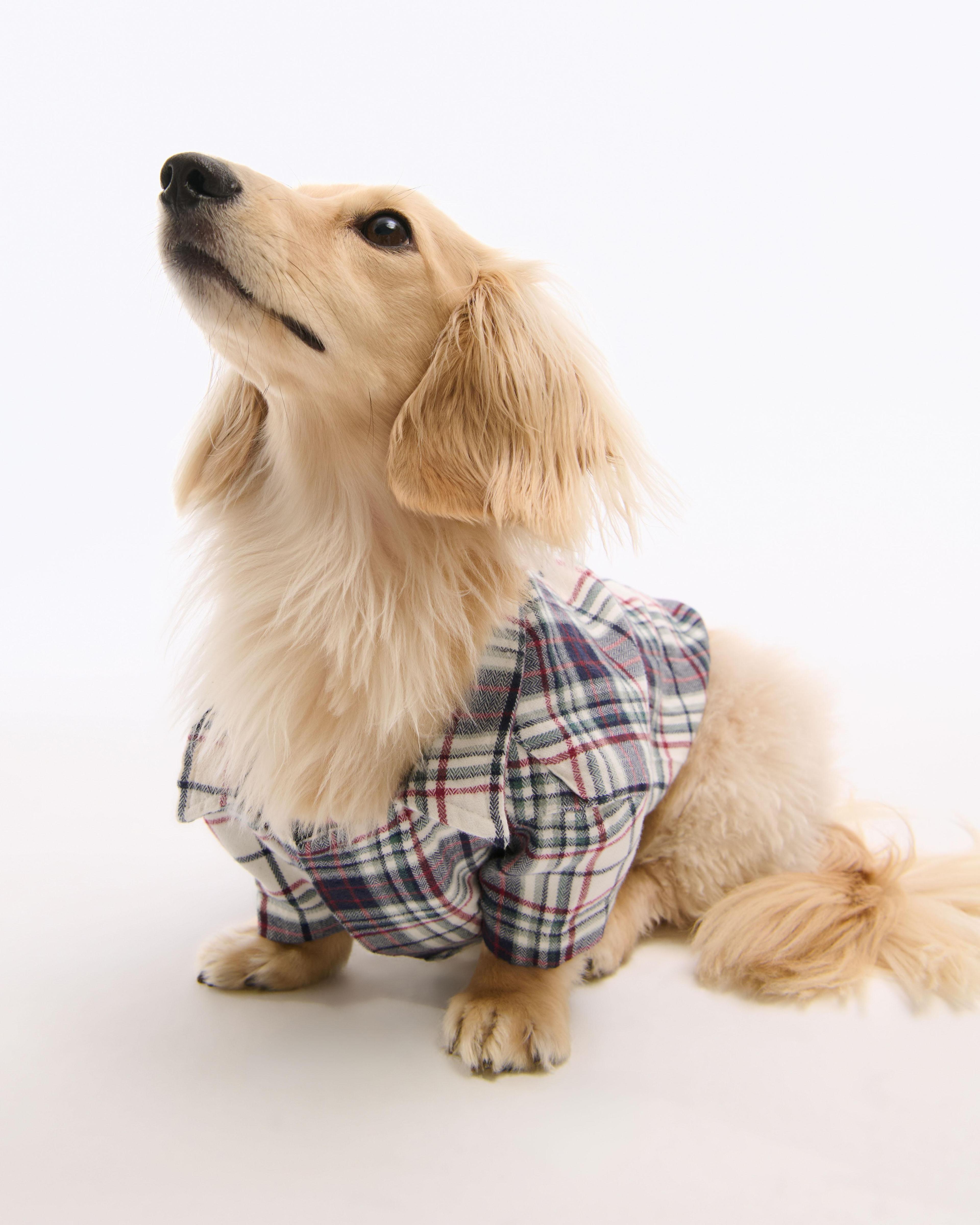 A&F Pet Sweater Product Image