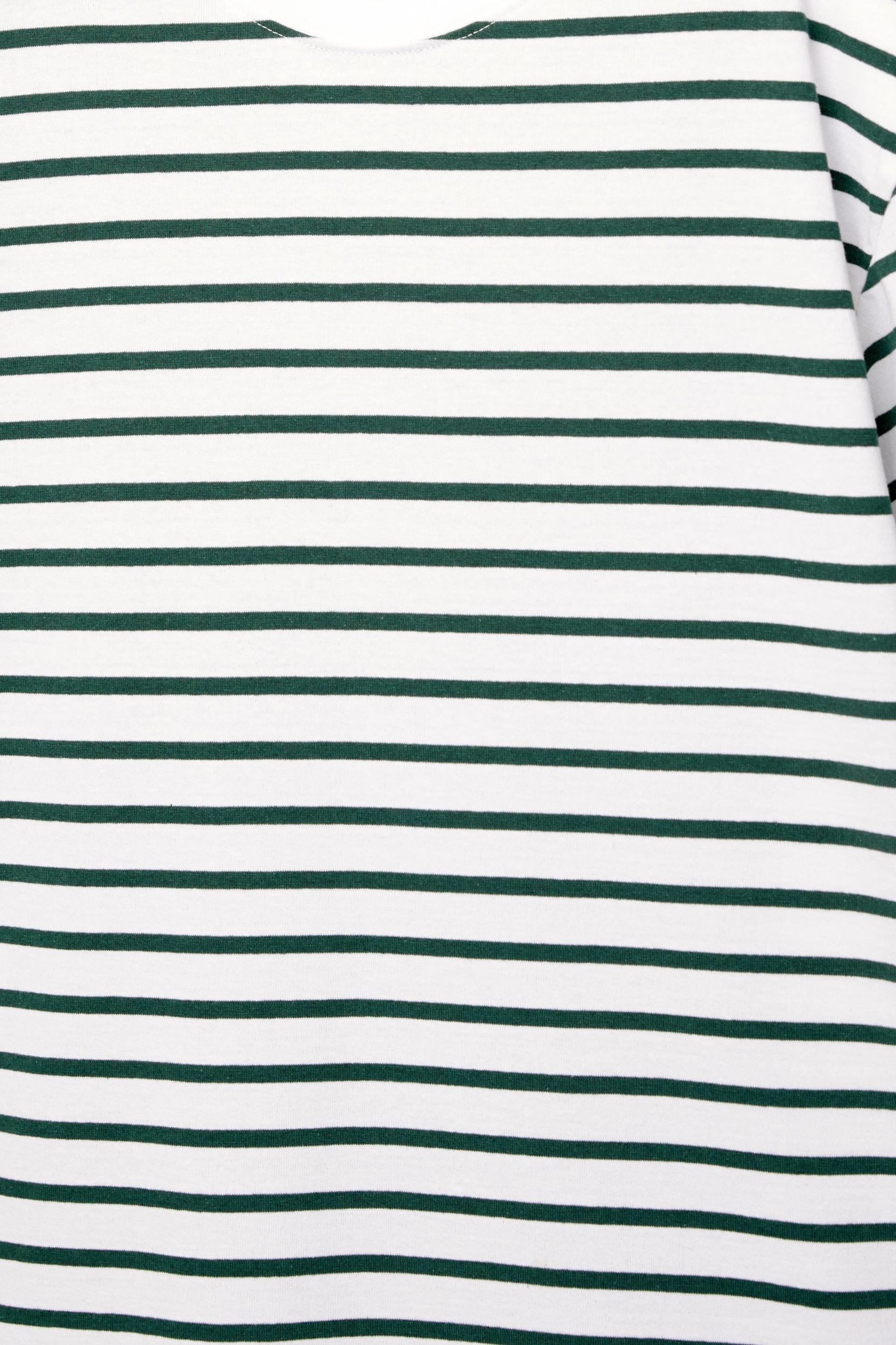 Striped short sleeve T-shirt Product Image