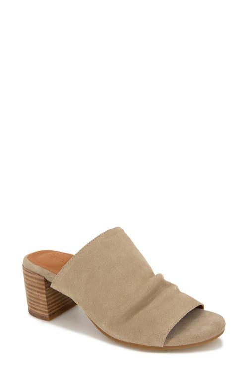 Gentle Souls by Kenneth Cole Chas Suede) Women's Shoes Product Image