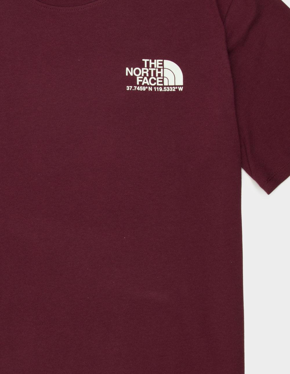 THE NORTH FACE Coordinates Mens Tee - TAN Product Image