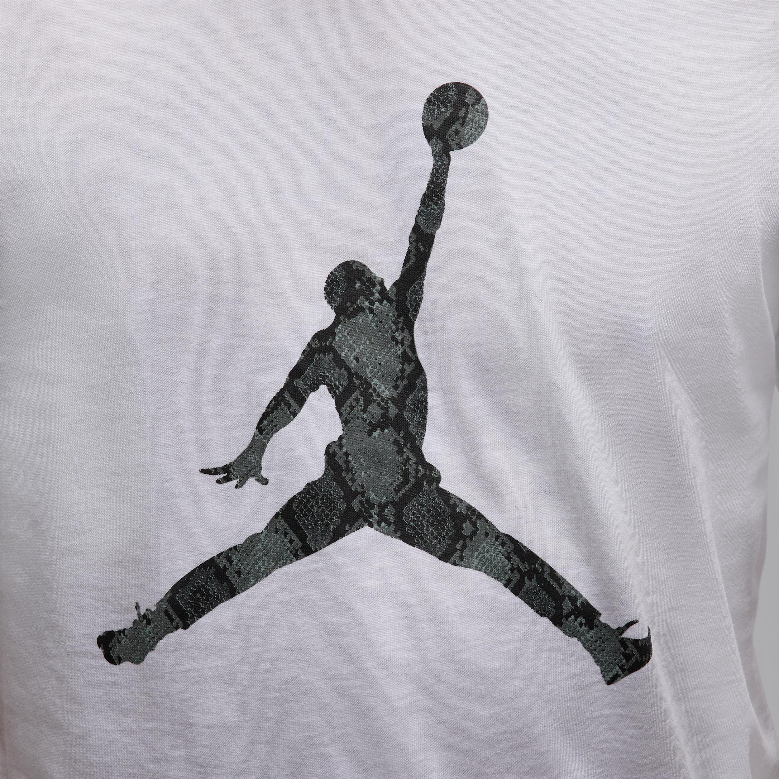 Mens Jordan Sport Dri-FIT T-Shirt | HJ2862-102 Product Image