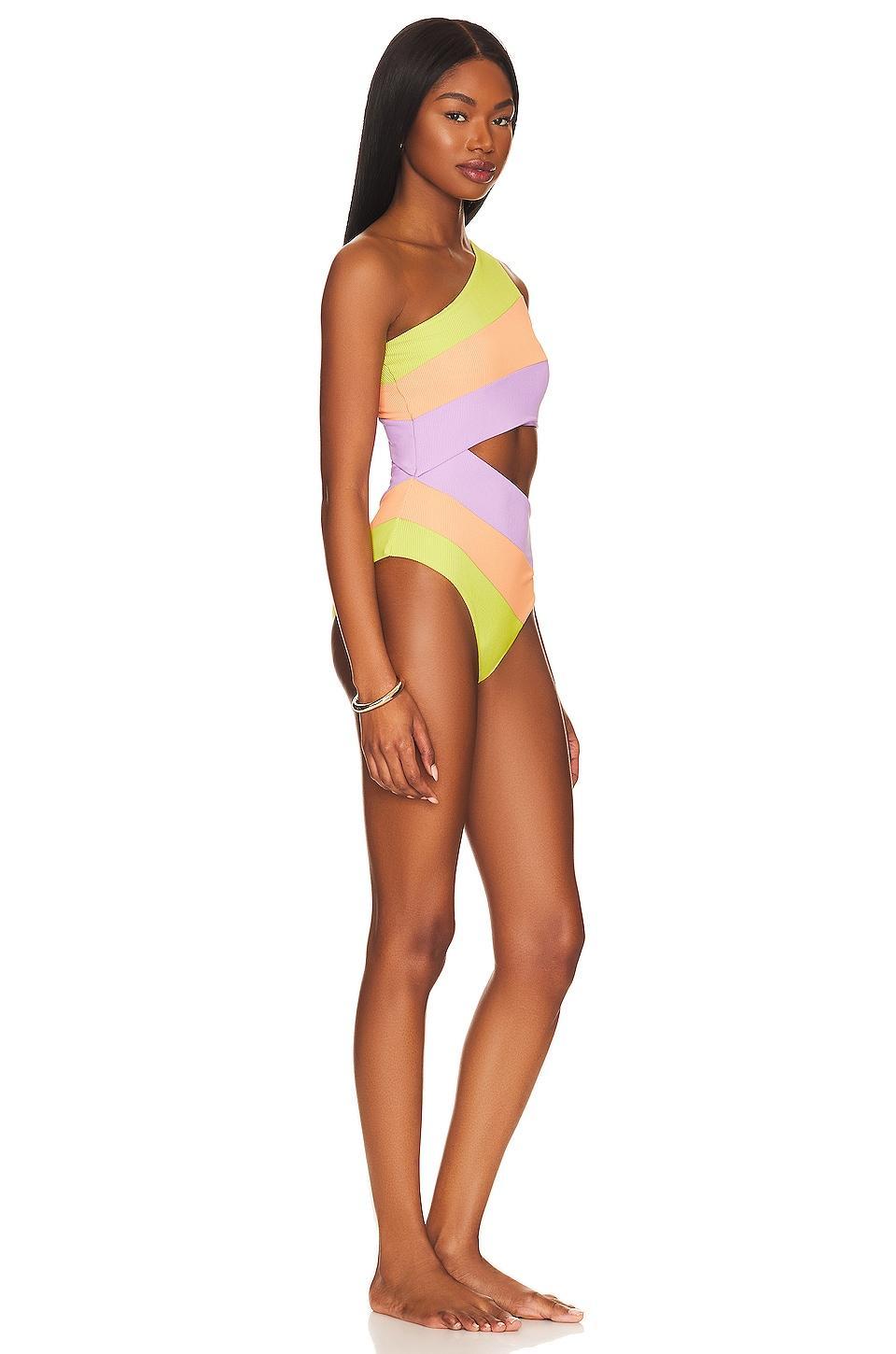 Joyce One Piece BEACH RIOT Product Image